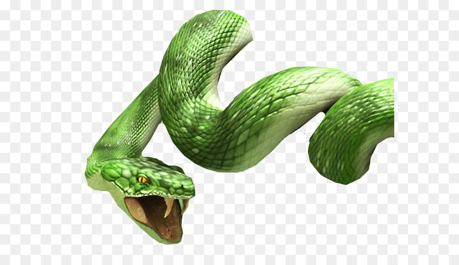 Serpente Na Tela Prank Serpente Tela, Serpentes Na Tela 3D Snake Reptile  Online, serpente, animais, escalado réptil png