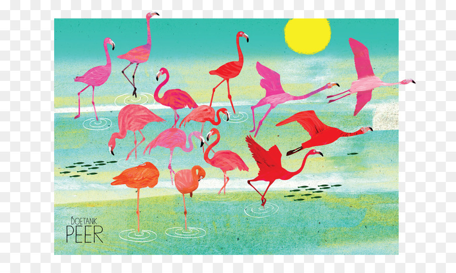 Flamingos，água De Aves PNG