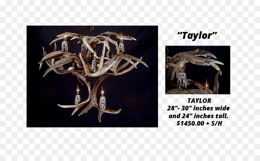 Antler，Whitetailed Veado PNG