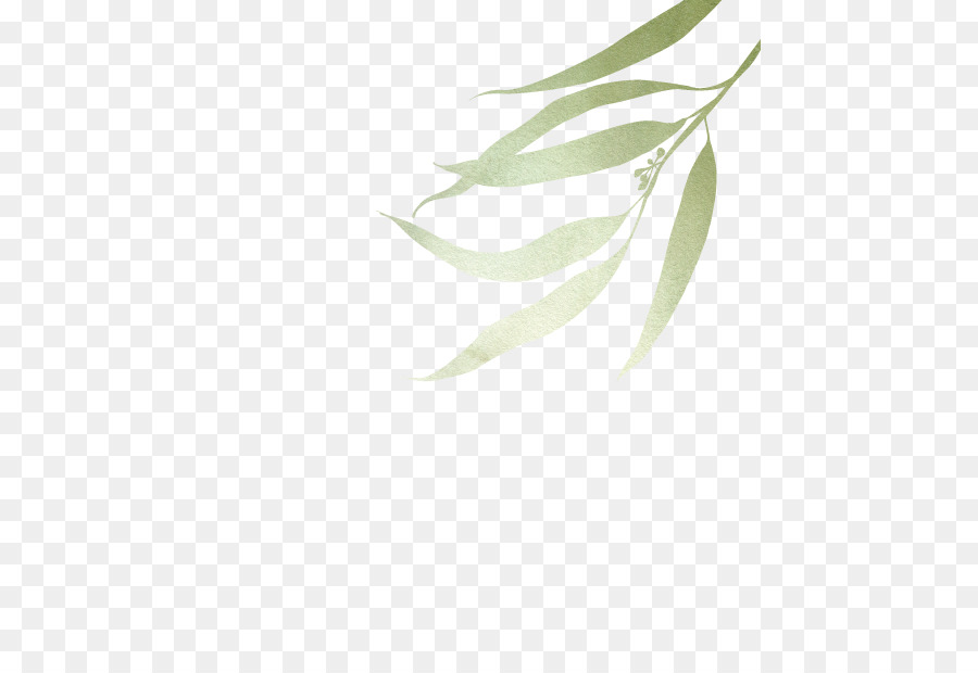 Folha，Natureza PNG