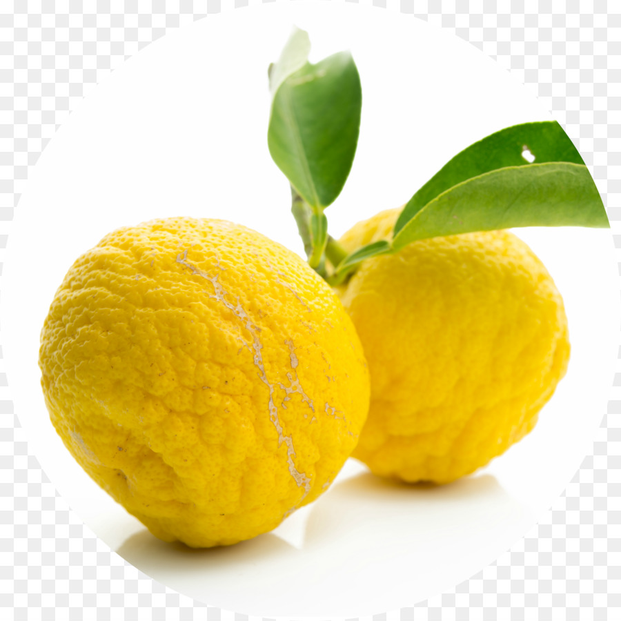 Citrus Junos，Suco De PNG