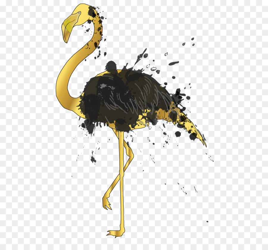 Flamingo，Pássaro PNG