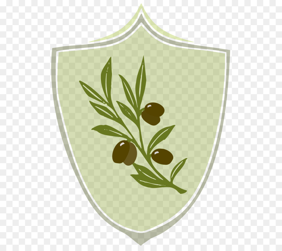 Escudo De Ramo De Oliveira，Folhas PNG