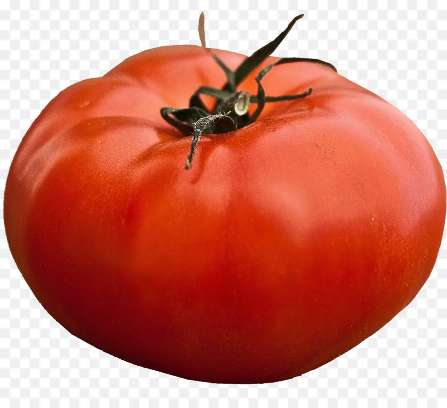 Tomate，Vegetal PNG