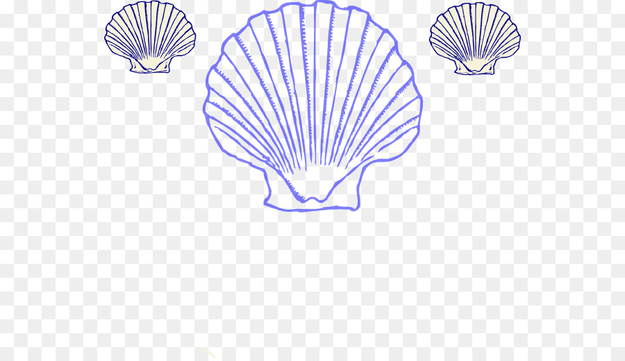 Seashell，Clam PNG