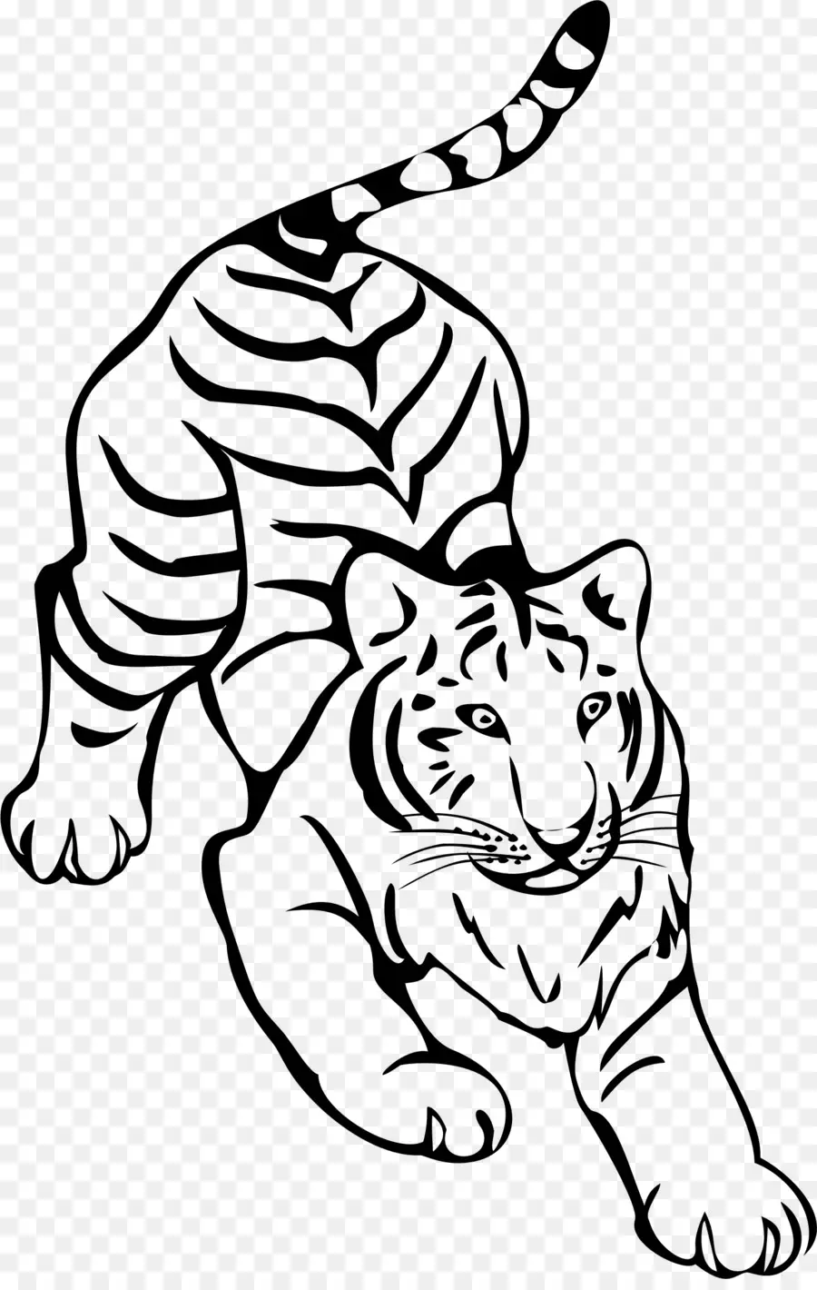 Tigre，Listras PNG