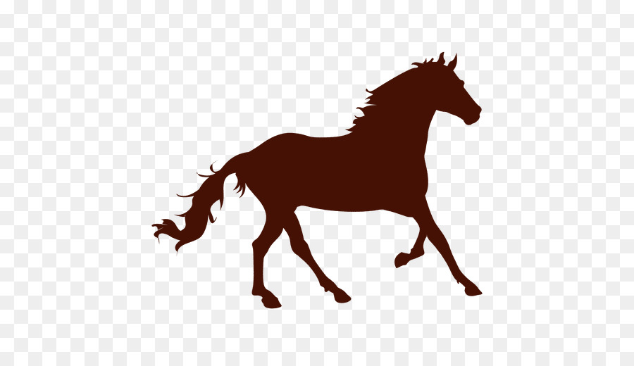 Cavalo，Equino PNG