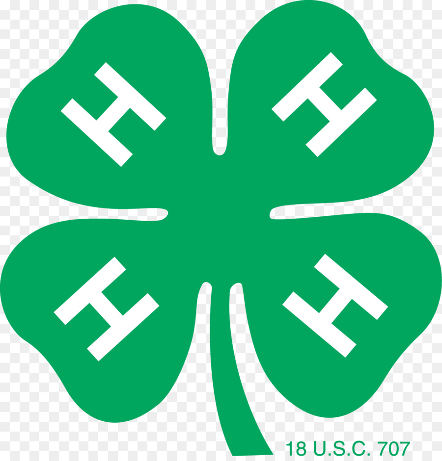 4h，Fourleaf Trevo PNG