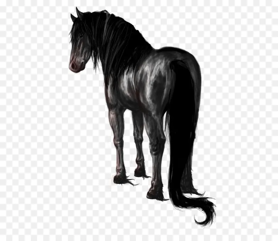 Cavalo Preto，Equino PNG