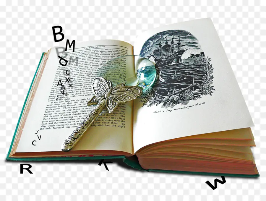 Livro Aberto，Lupa PNG