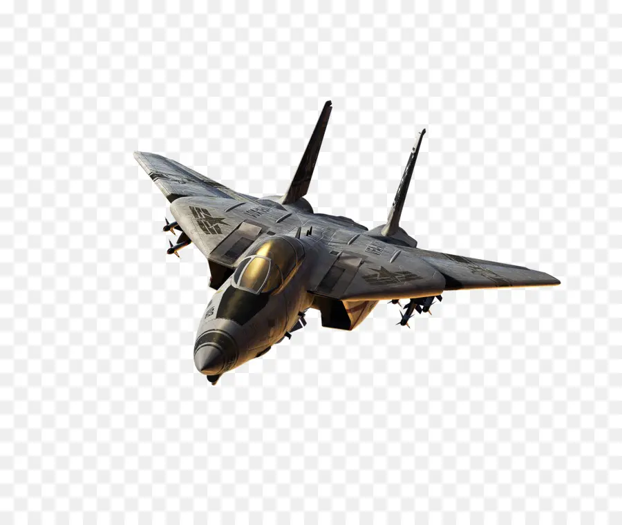 Avião，Grumman F14 Tomcat PNG