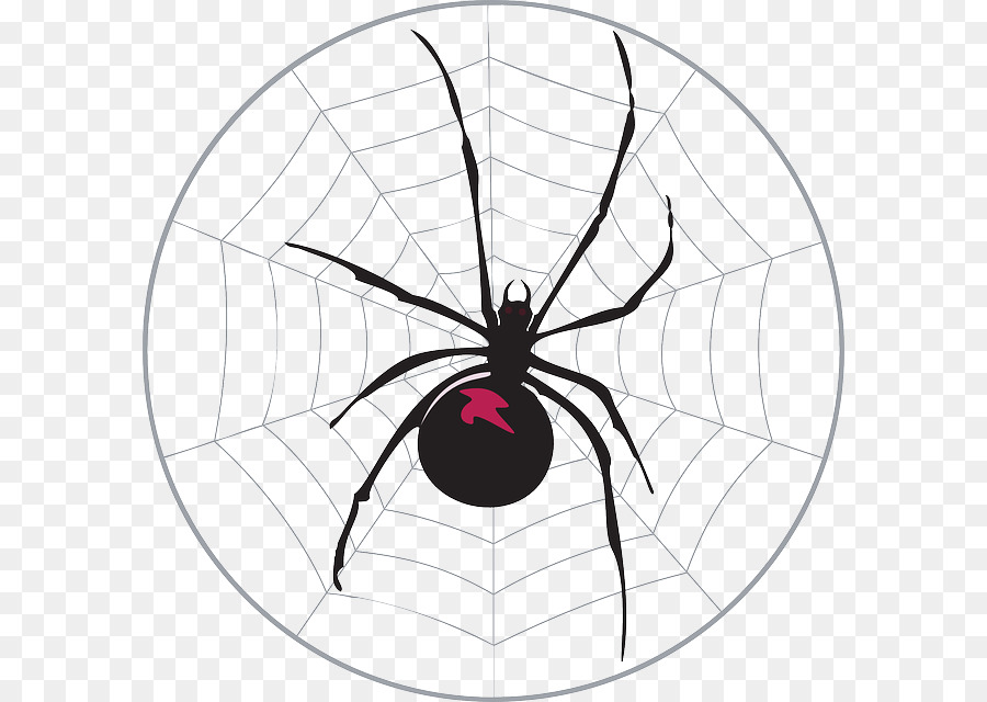 Aranha Viúva Negra，Aracnídeo PNG