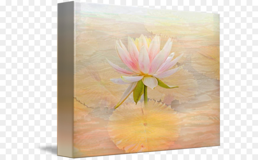 Pintura，Flor PNG