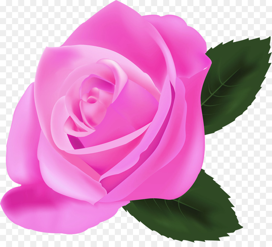 Rosa，Flores Cor De Rosa PNG