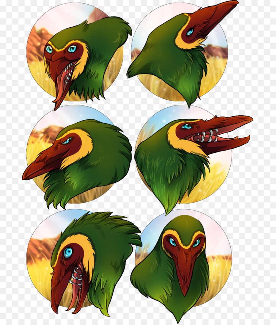 Aves，Papagaio PNG