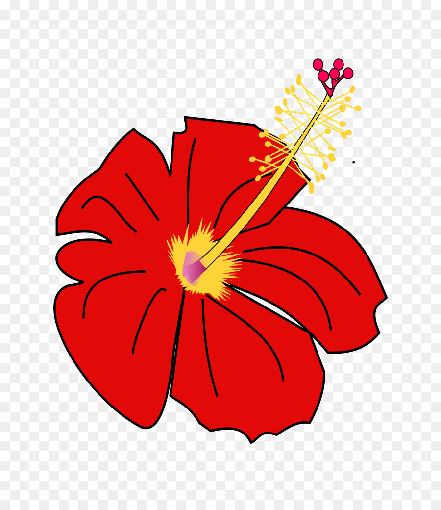 Flor，Hibiscus Moscheutos PNG