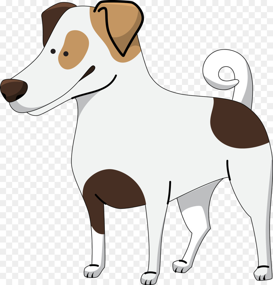 Jack Russell Terrier，Boston Terrier PNG