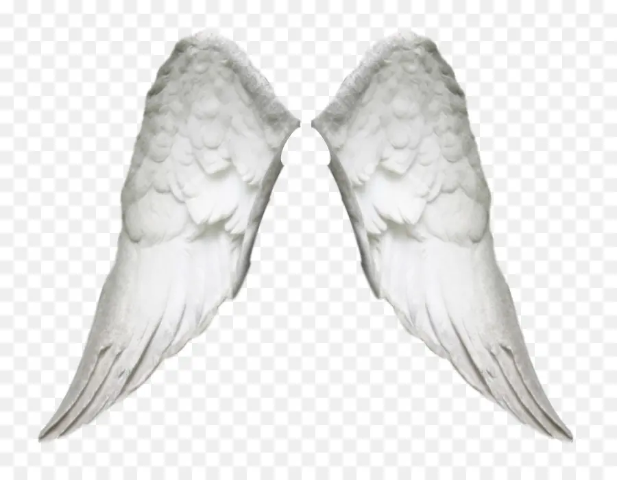 Asas De Anjo，Branco PNG