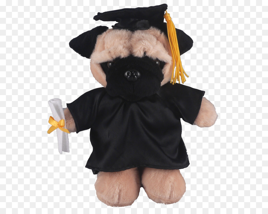 Pug，Cerimônia De Formatura PNG