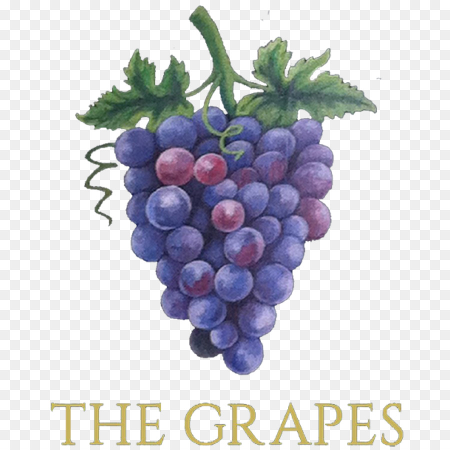 Uvas，Videira PNG