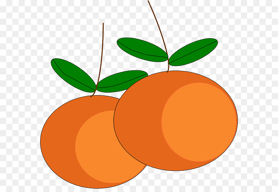 Laranjas，Fruta PNG