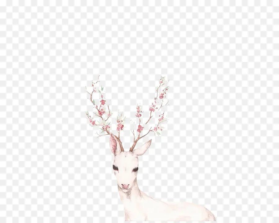 Deer，Whitetailed Veado PNG