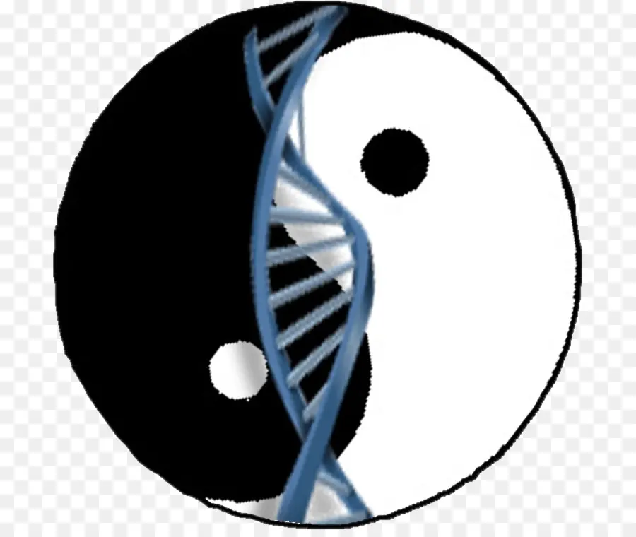 Dna Yin Yang，Yin Yang PNG