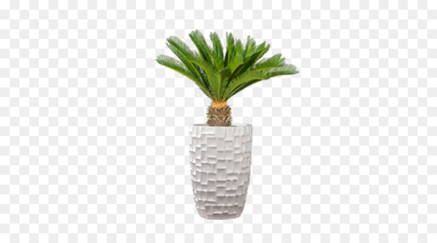 Flowerpot，Fibra De Vidro PNG