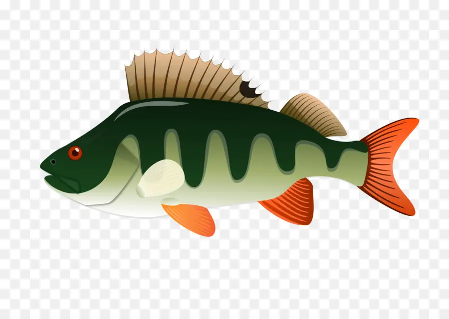 Peixe，Listras PNG