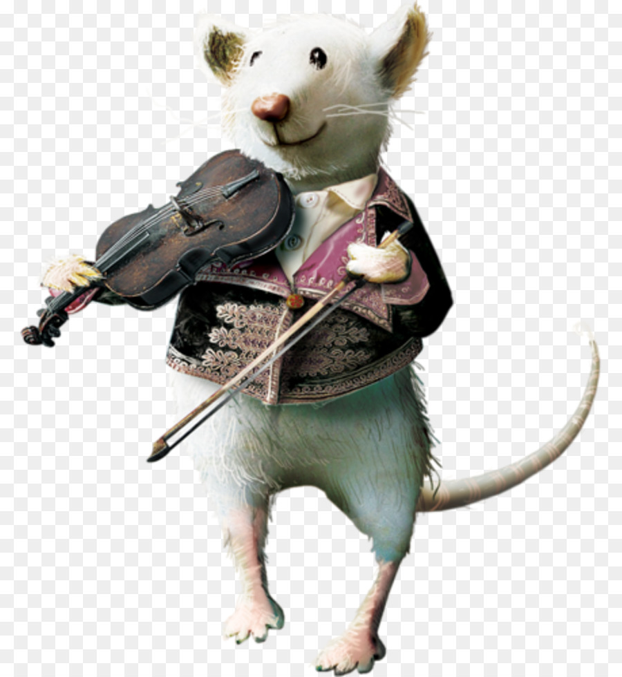 Rato，Violino PNG