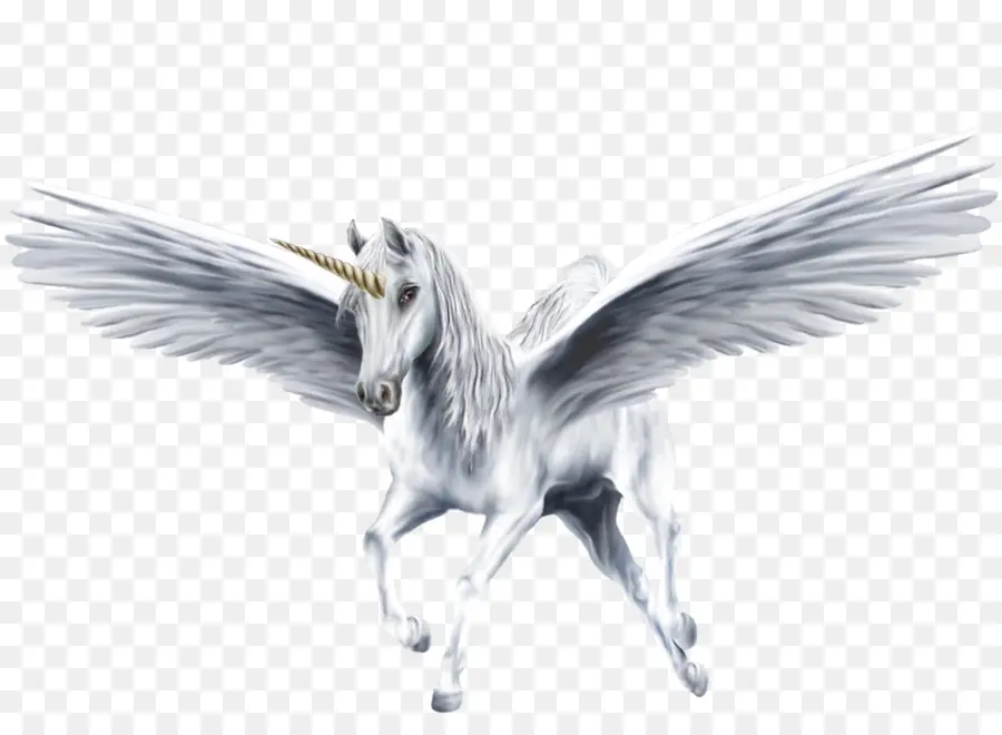 Pegasus，Unicórnio Alado PNG