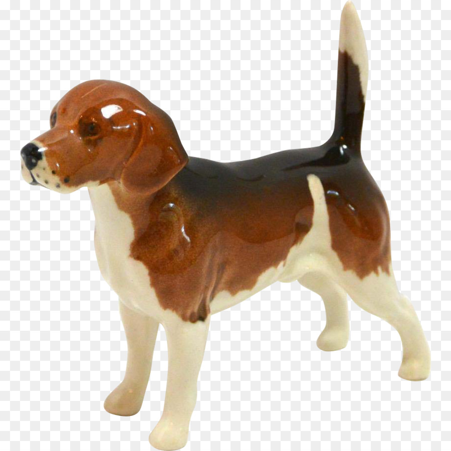 Cachorro Beagle，Bicho De Estimação PNG