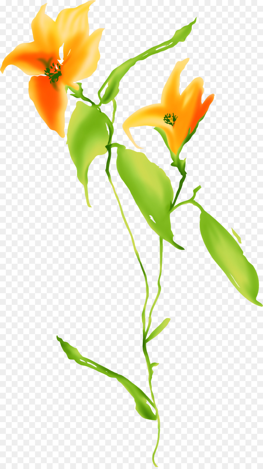Featured image of post Flores Cor Laranja Png O laranja apresenta a luminosidade do amarelo e a impulsividade do vermelho