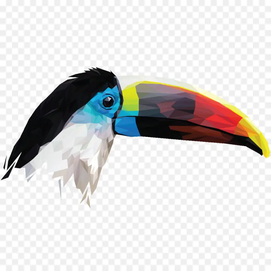 Tucano，Colorido PNG