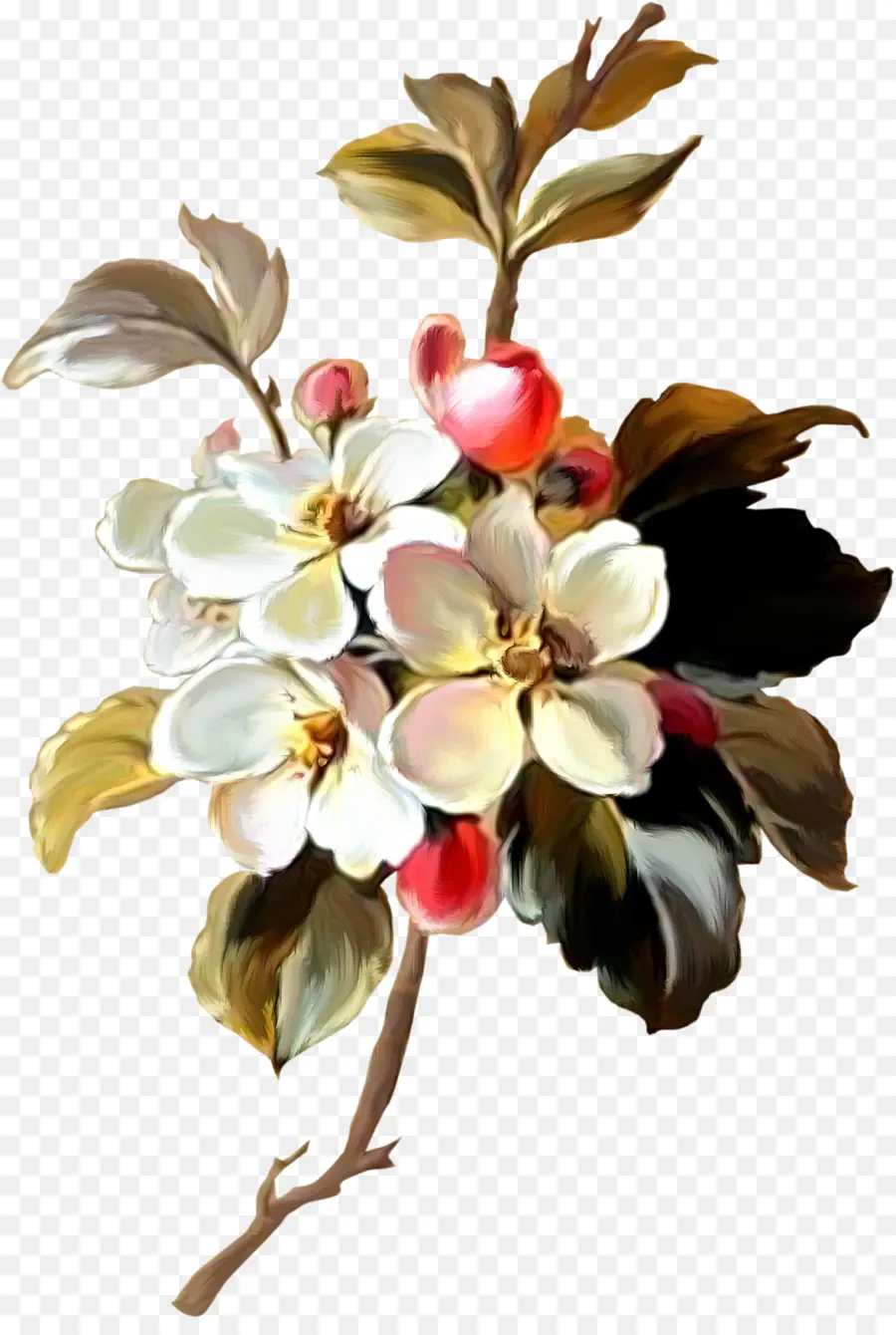 Ramo De Flor，Florescer PNG