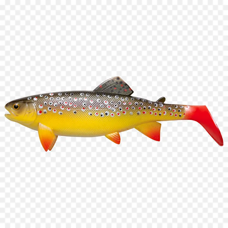 Peixe，Truta PNG