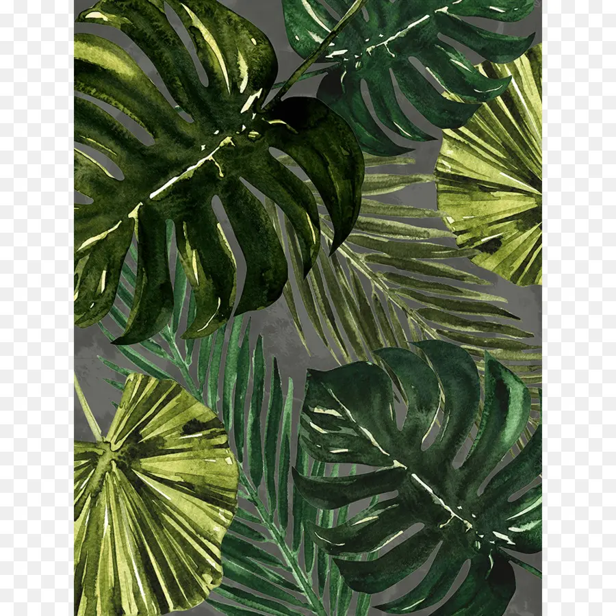 Folhas Tropicais，Plantas PNG