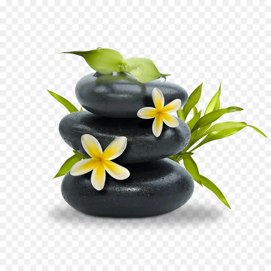 Day Spa，Spa PNG
