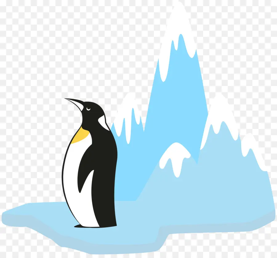 Penguin，Glacier PNG