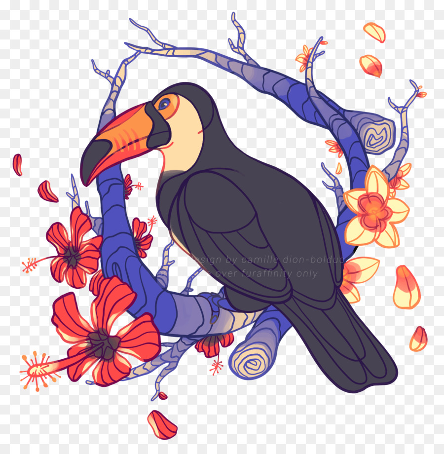 Aves，Vertebrados PNG