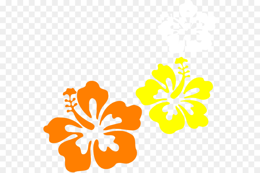 Desenho, Havaiano De Hibisco, Hibiscus Amarelo png transparente grátis