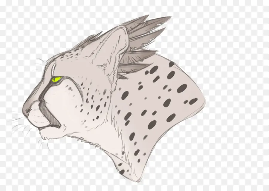 Desenho De Animais，Gato PNG