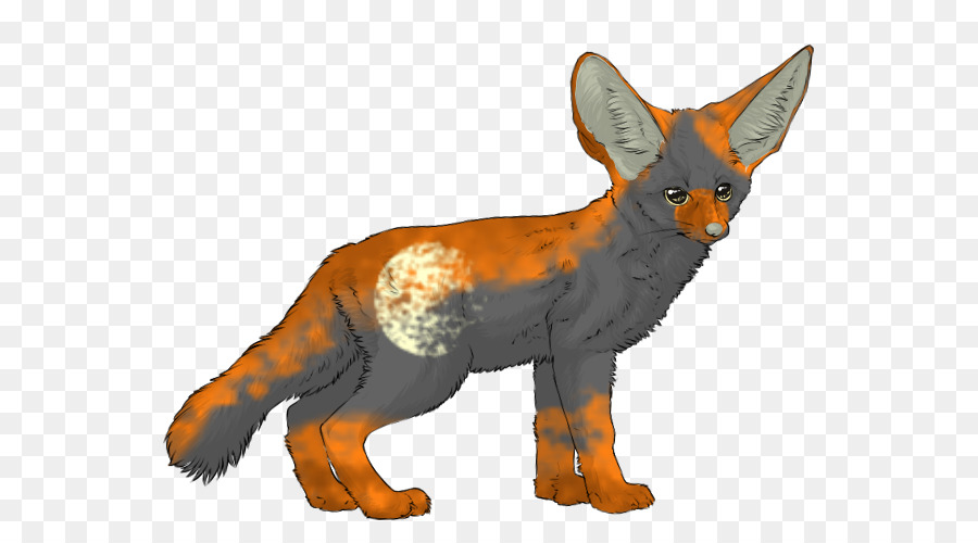 Raposa Vermelha，Fox PNG