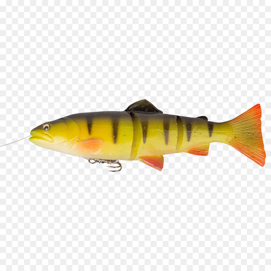 Truta，A Pesca De Iscas Iscas PNG