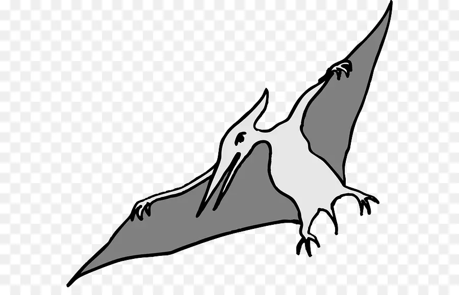 Pterodáctilo，Dinossauro PNG