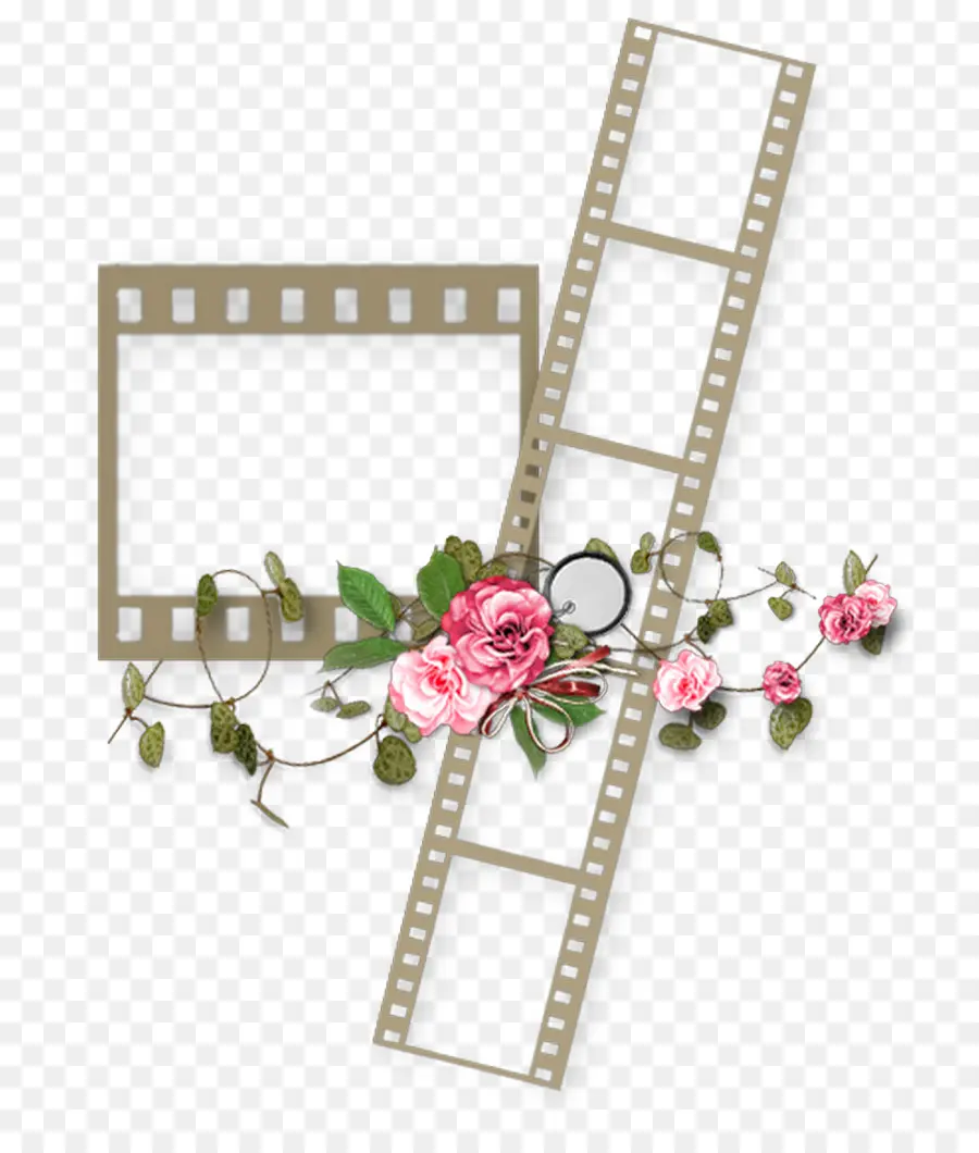 Tira De Filme Com Flores，Rosas PNG