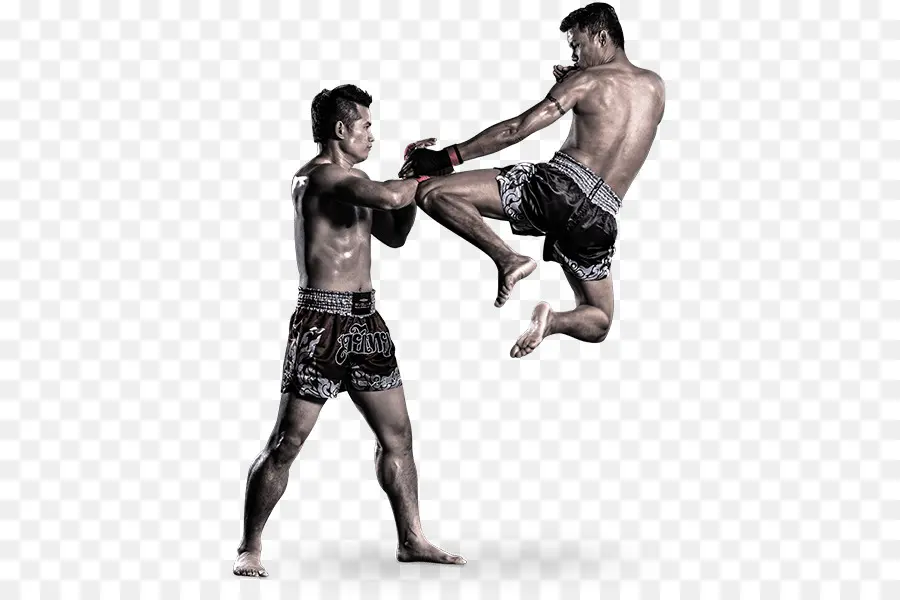 Lutadores De Muay Thai，Artes Marciais PNG