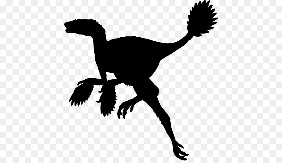 Caudipteryx，Gigantoraptor PNG