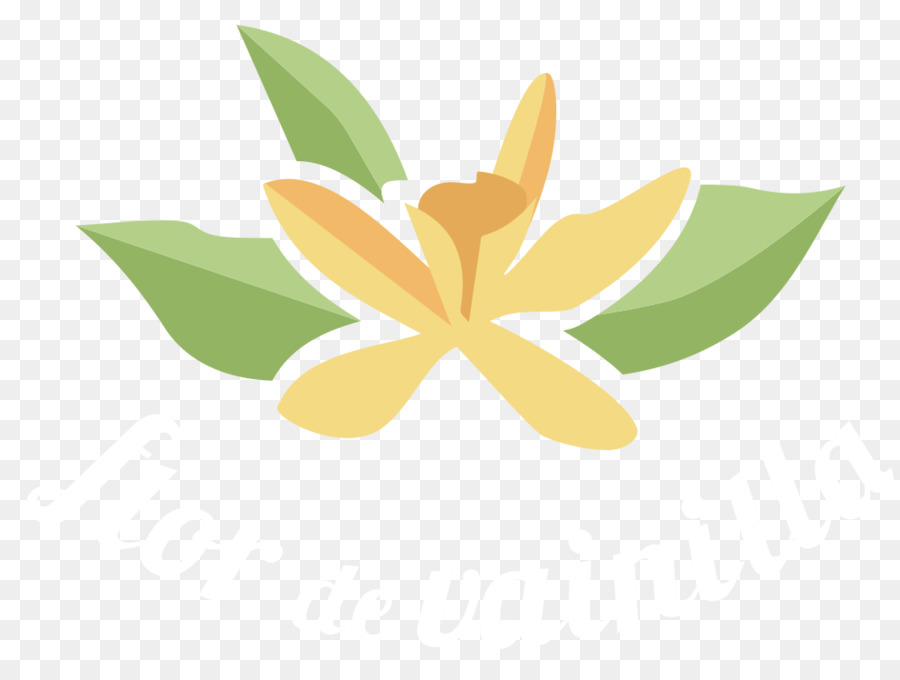 Flor，Folha PNG