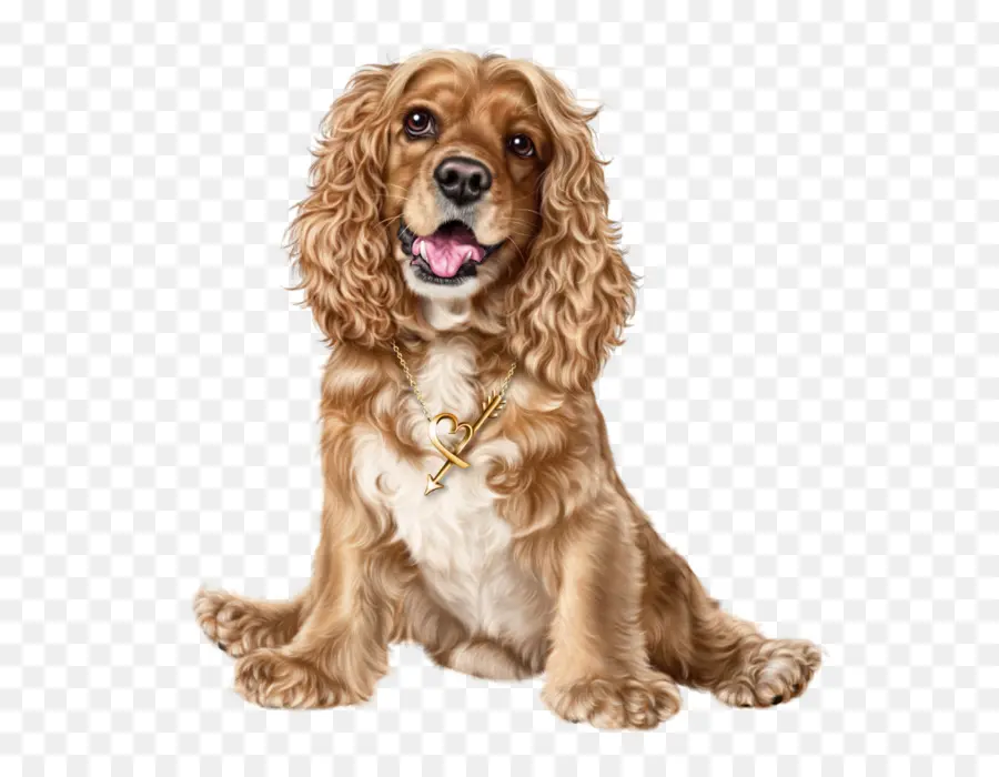 Cocker Spaniel Inglês，American Cocker Spaniel PNG